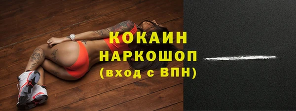 тгк Алексин